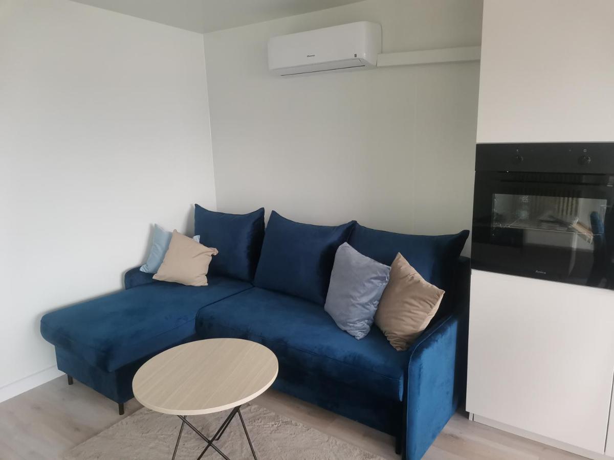 Wilcza Przystan Apartment Borzygniew Екстериор снимка