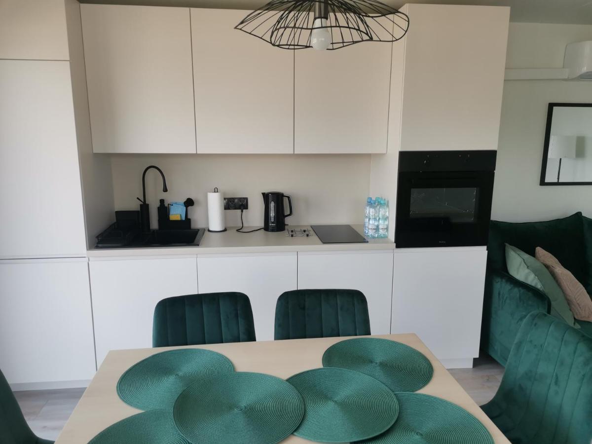 Wilcza Przystan Apartment Borzygniew Екстериор снимка