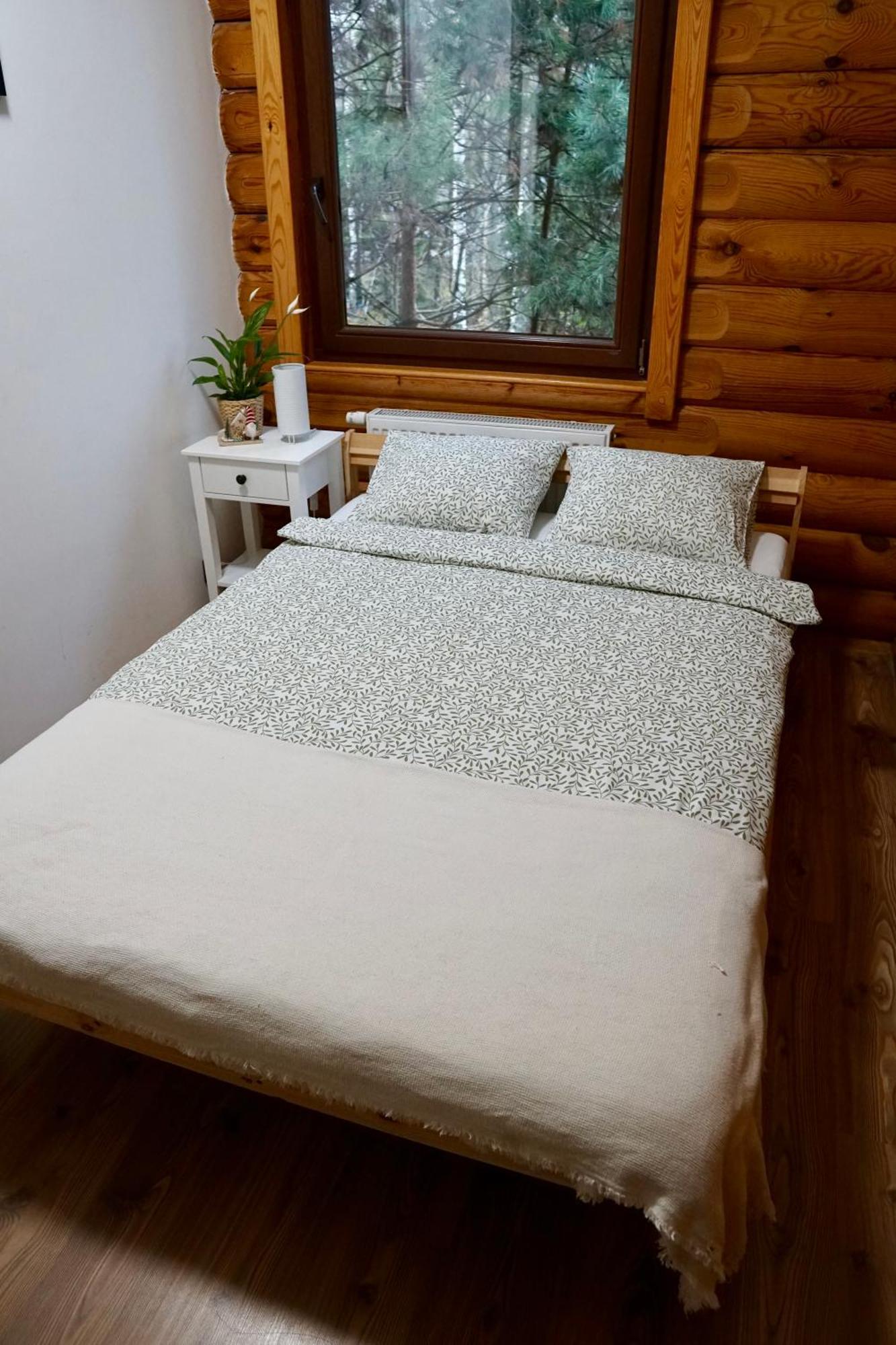 Wilcza Przystan Apartment Borzygniew Екстериор снимка