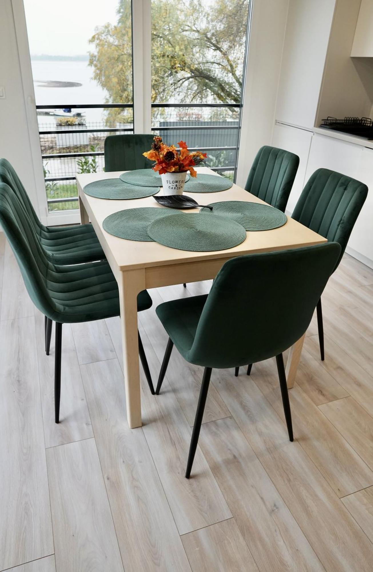 Wilcza Przystan Apartment Borzygniew Екстериор снимка